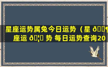 星座运势属兔今日运势（星 🐶 座运 🦁 势 每日运势查询2024）